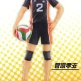 Koushi Sugawara - Haikyuu!! DXF Re-Release - Special Assorted Vol.2