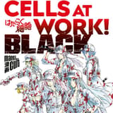 Cells at Work Black - Manga Cult - Band 4