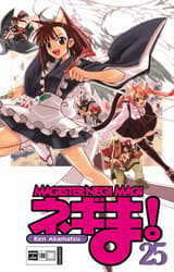 Negima! Magister Negi Magi 25