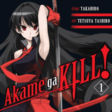 EN Akame ga Kill! - Yen Press - Vol. 1 english Edition