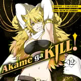 Akame ga KILL! - Crunchyroll - Band 012