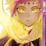 D. Gray-Man - Tokyopop - Band 27