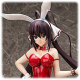 Houki Shinonono - 1/4 - Bunny Version