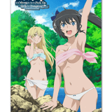 Danmachi - Beach - Wallscroll