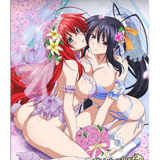 Rias & Akeno - Wedding Lingerie - Highschool DxD - Wallscroll