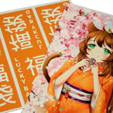 Figuya Lucky Bag - Fukubukuro - Size L