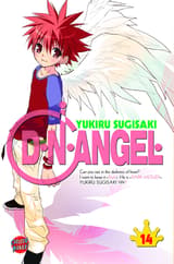 D.N. Angel 14