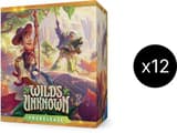 Disney Lorcana: Wilds Unknown Prerelease Box Case