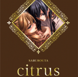 Citrus - TokyoPop - Artbook