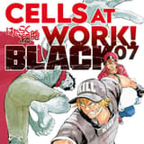 Cells at Work Black - Manga Cult - Band 7