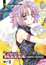 Kamikaze Kaito Jeanne - Perfect Edition 05