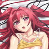 Mio - Wallscroll - The Testament of Sister New Devil - 28202