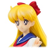 Minako Aino - Sekai Seifuku Sakusen