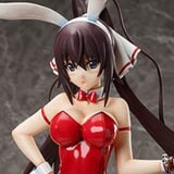 Houki Shinonono- 1/4 B-Style Bunny - Bare Leg - FREEing