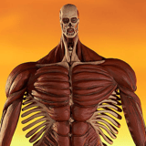 Colossus Titan - L - Attack on Titan Pop Up Parade - Good Smile Company