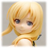 Sena Kashiwazaki - Beach Queen Version Next