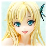 Sena Kashiwazaki - Swimsuit Version - Gift