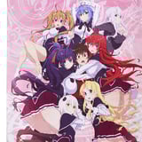 Group (A) - High School DxD Wallscroll - Sakami (60 x 86 cm)