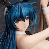 Asagi Igawa - Bare Leg Bunny - Character's Selection - BINDing / Native