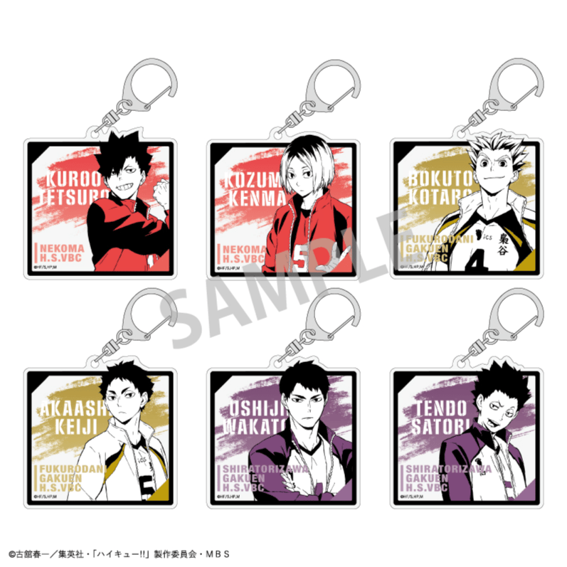 Zufällige Auswahl - Haikyu!! - Acrylanhänger (Jersey Vol. 2) - Kamio Japan