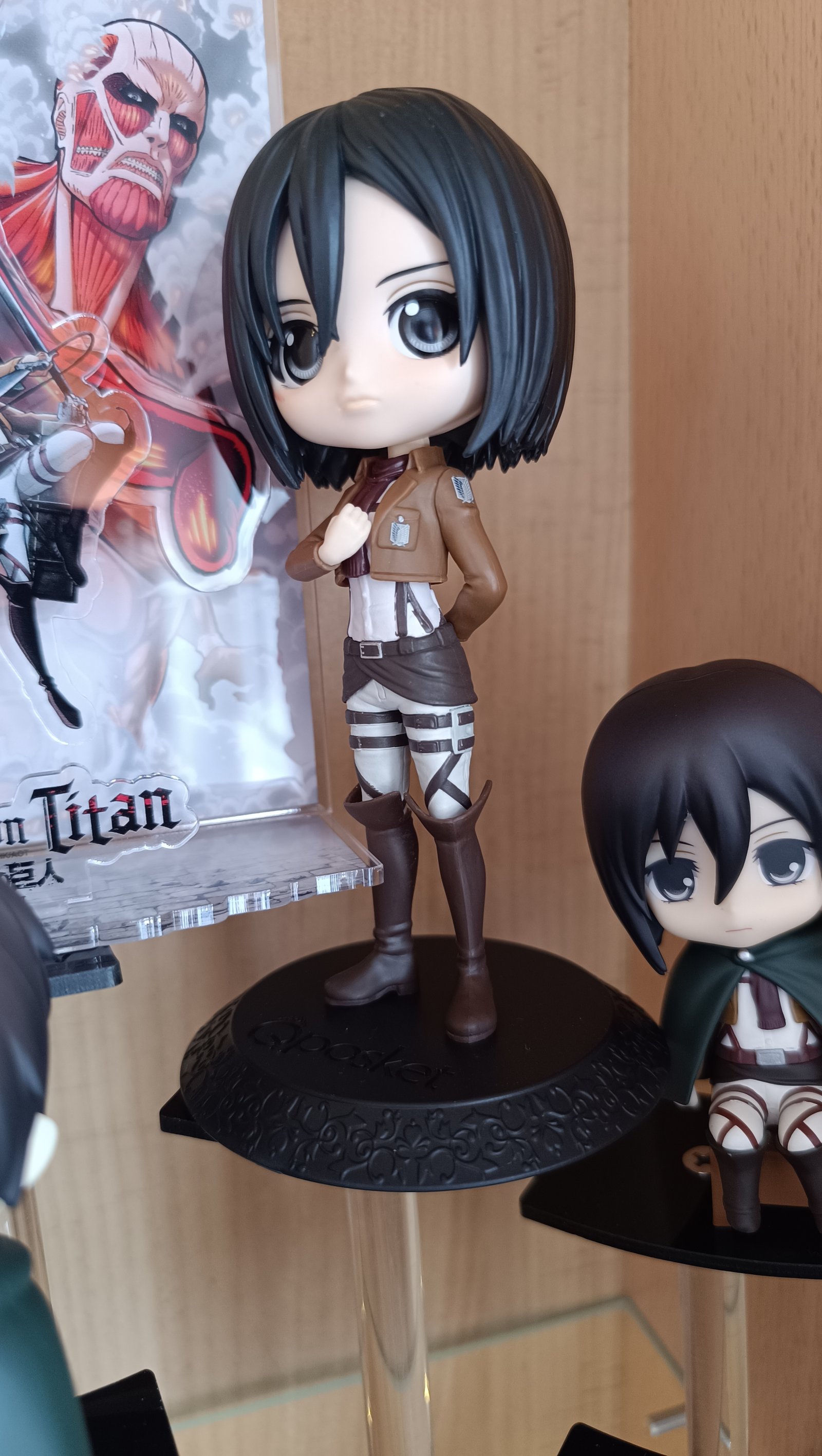 Mikasa QPosket 