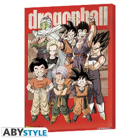 "Gruppe" - Dragon Ball - Canvas/ Leinwand (30 x 40 cm) - AbyStyle