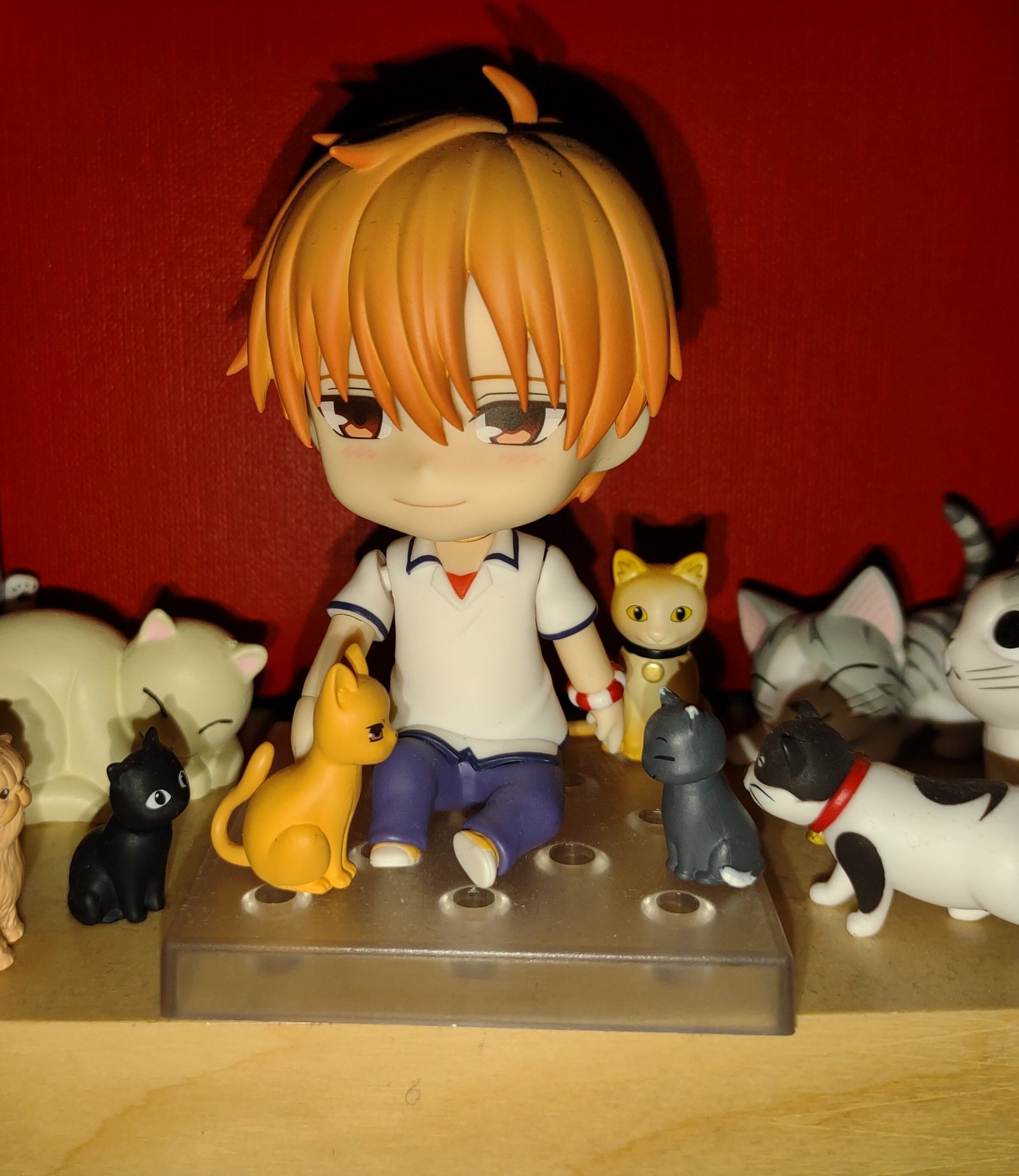 Wer wäre da nicht gern die Katze?