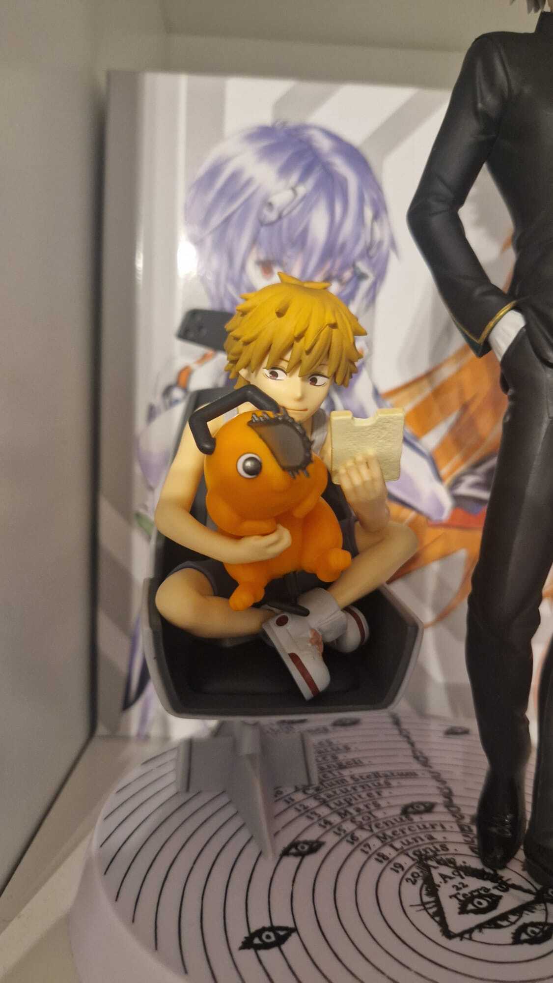 Denjis und Pochitas Neues Forever Home