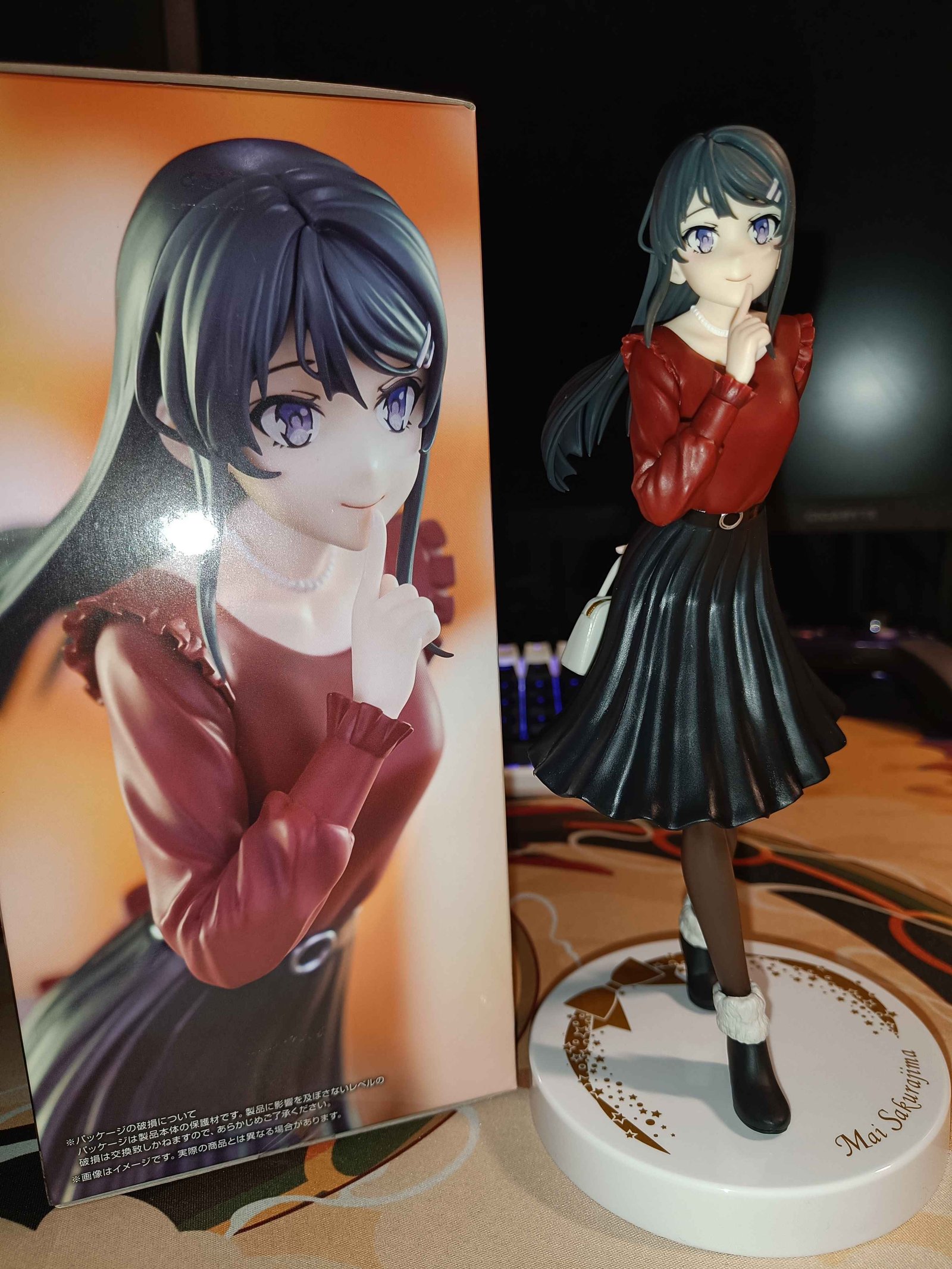 Mai Sakurajima - Winter Outfit