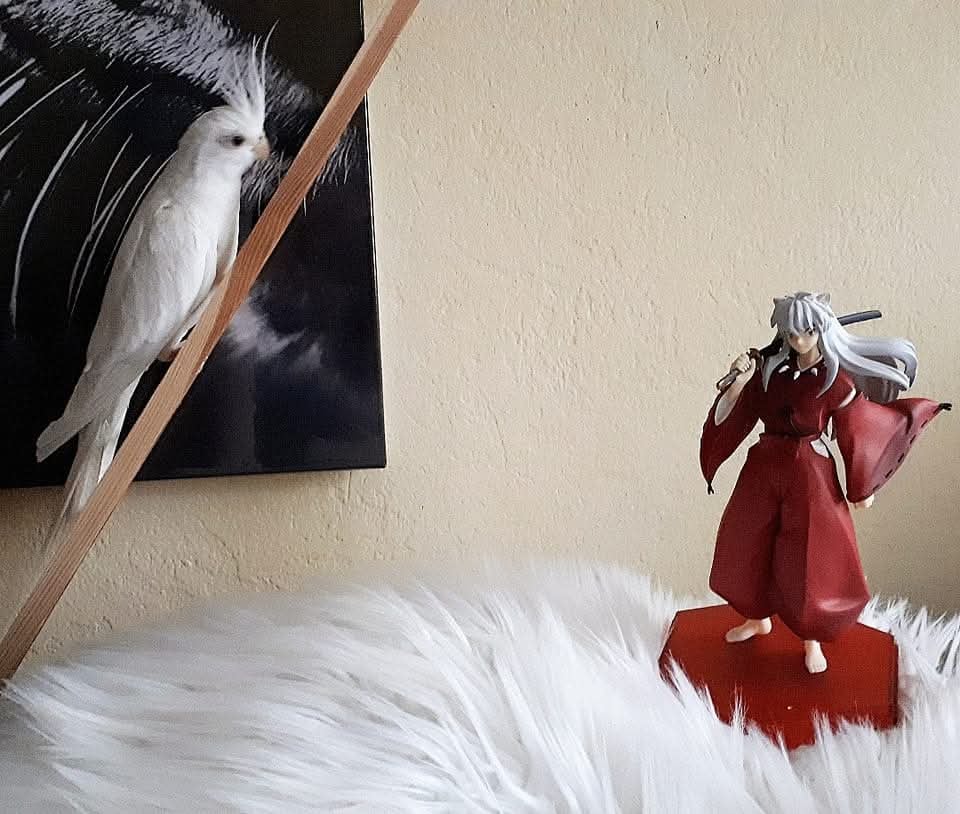 Ist ein Juwelensplitter in der Hirse, oder was sucht Inuyasha hier?