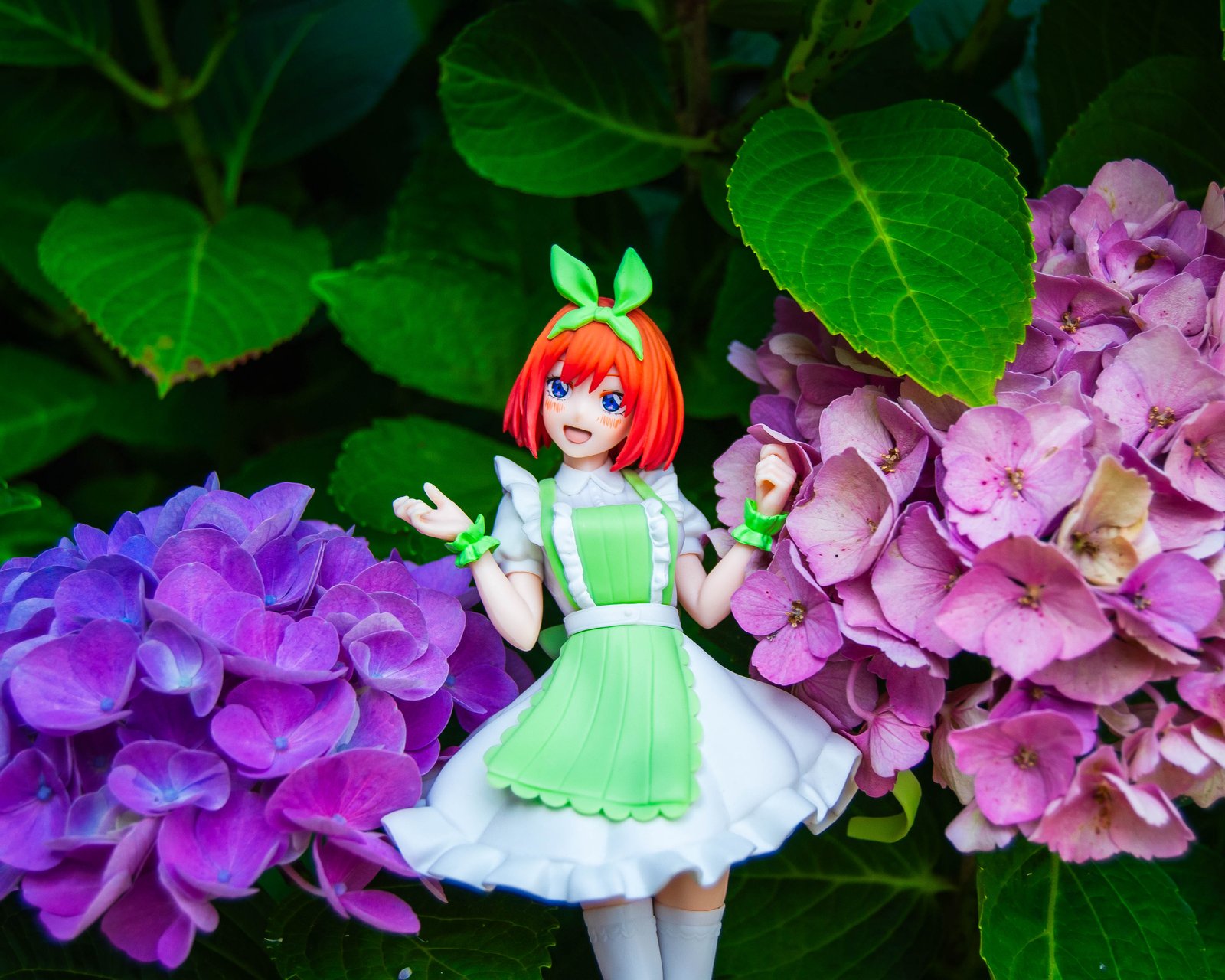 Photoshoot with Yotsuba