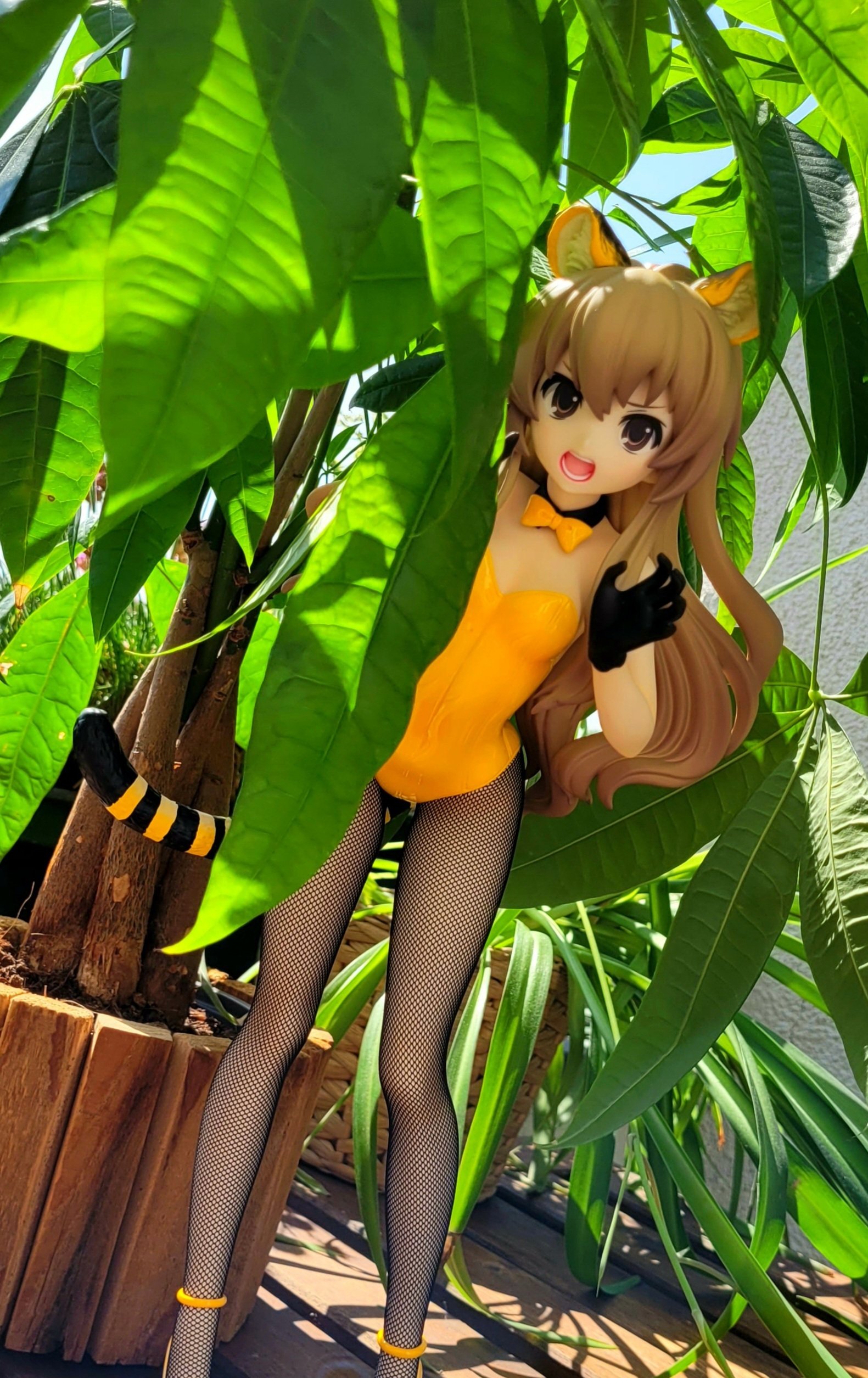 Tiger Taiga is out hunting. Be careful.