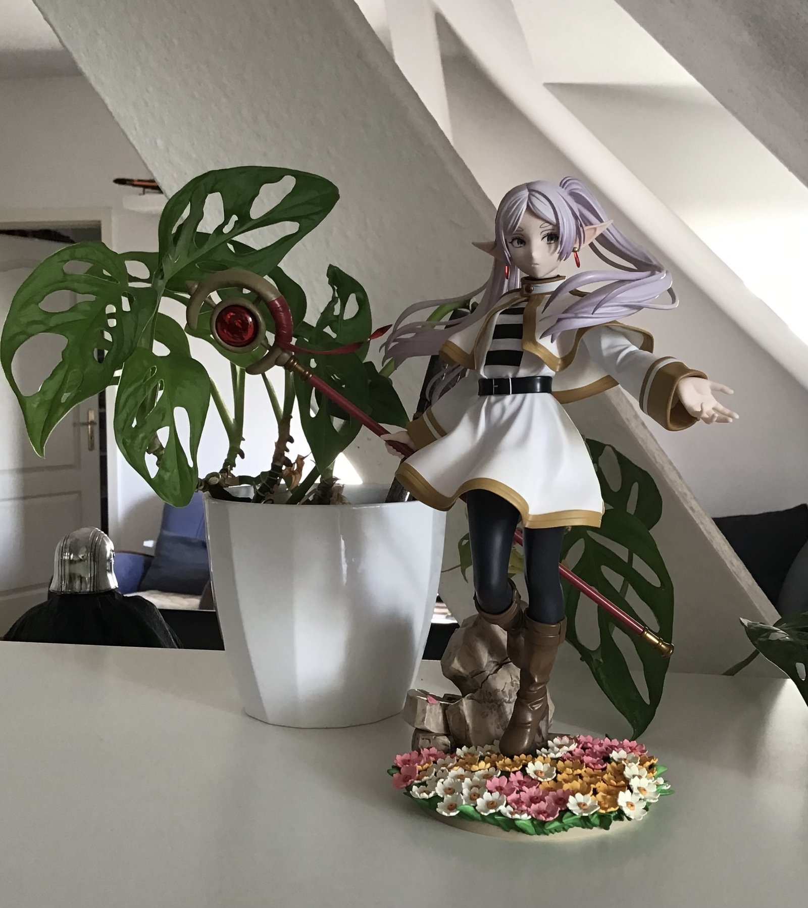 Frieren mit Zimmerpflanze