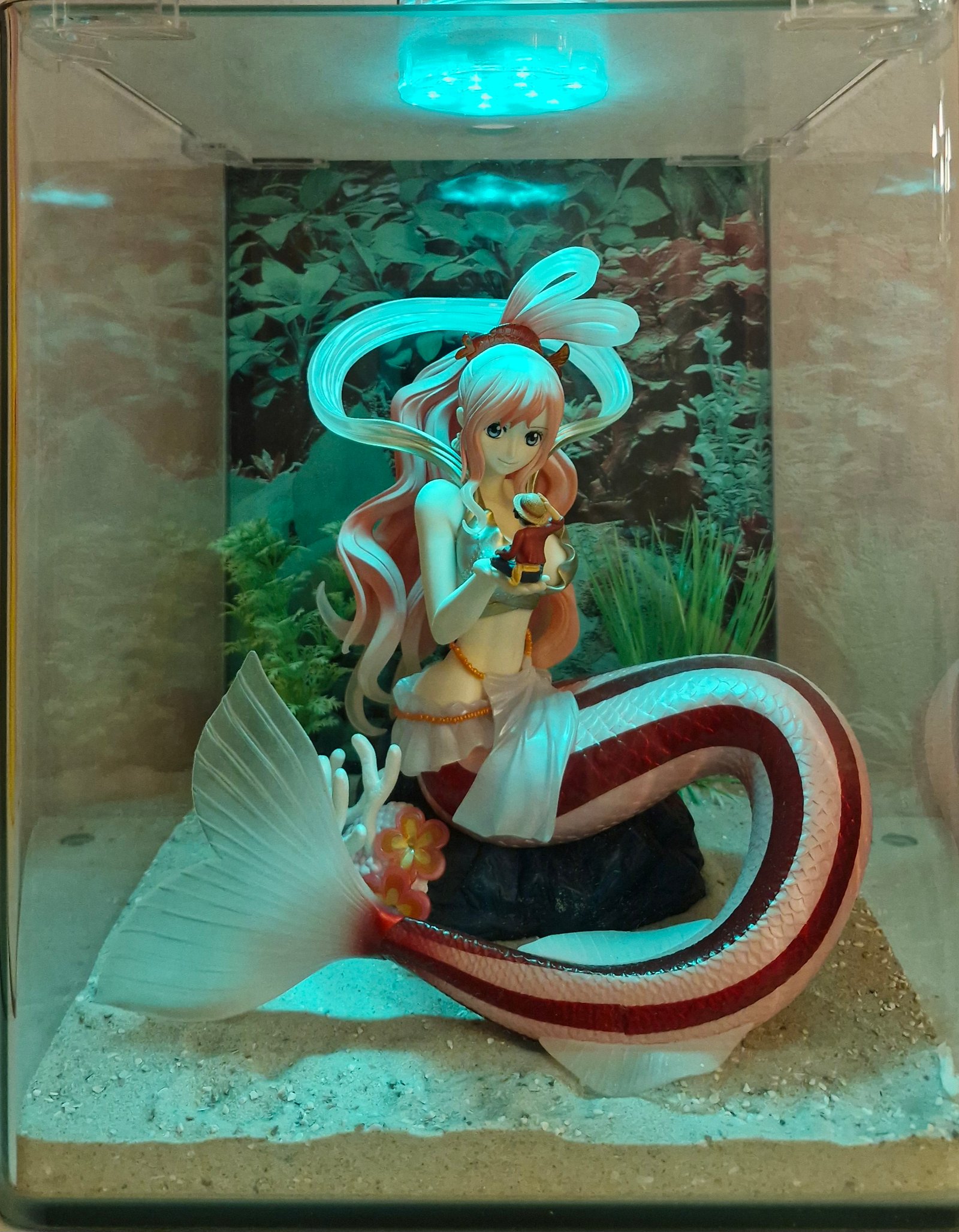 Shirahoshi One Piece