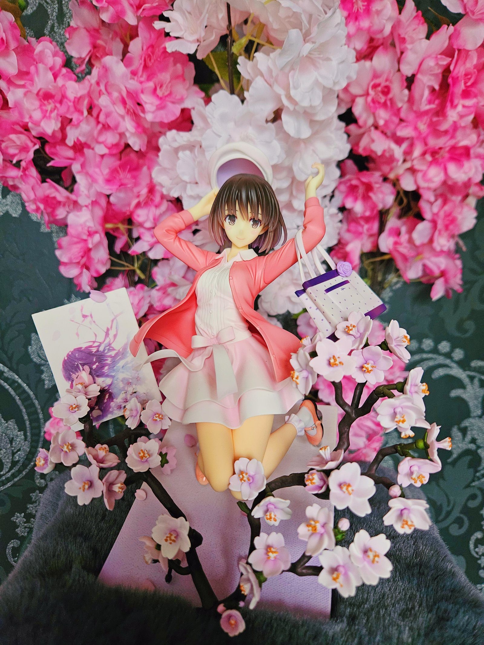 🌸 Megumi Kato 🌸