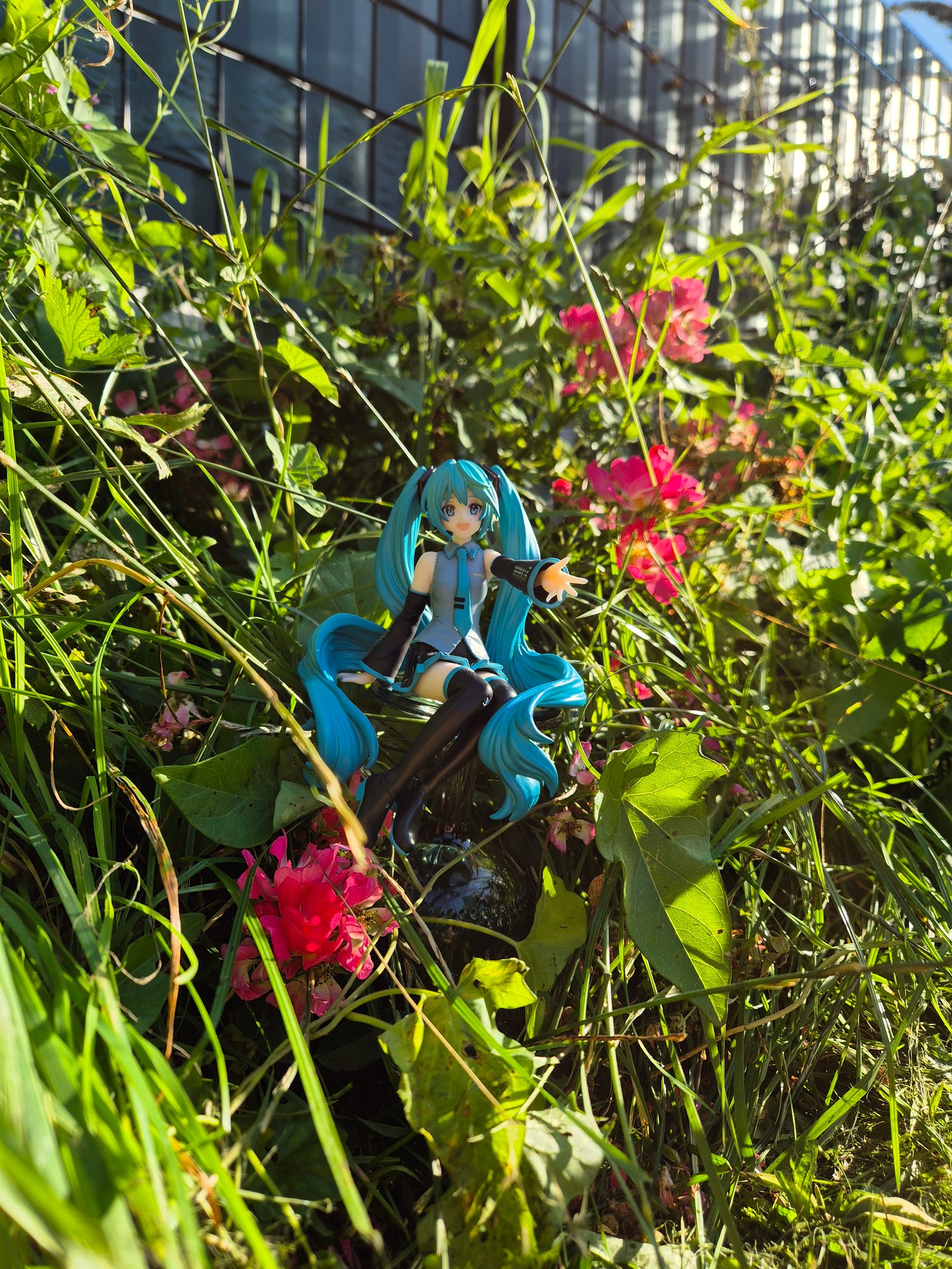 Die Königin im Garten! :3