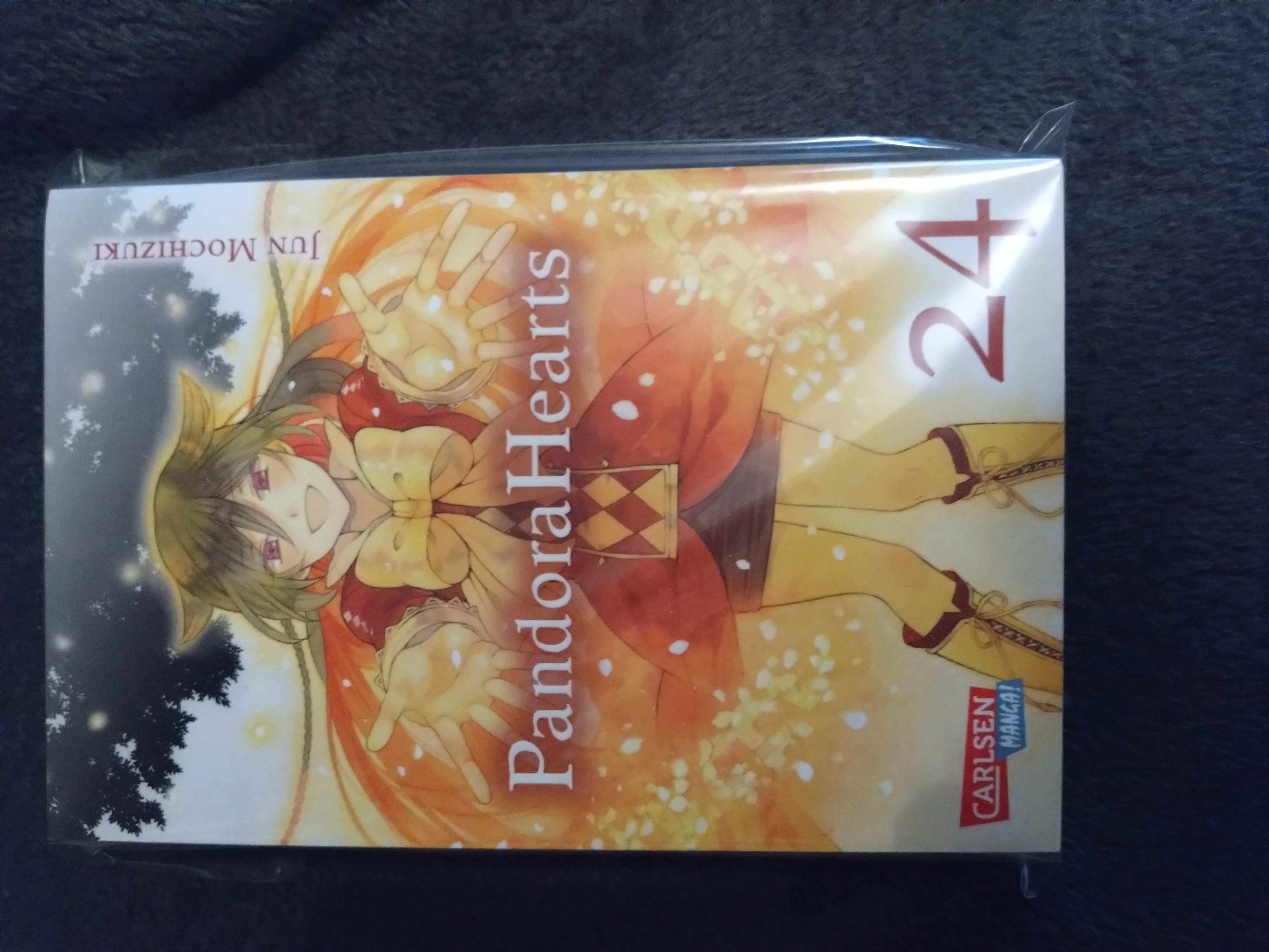 Pandora Hearts -Band 24