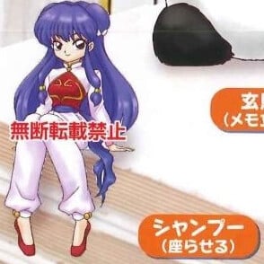 Shampoo - Ranma 1/2 on the Desk