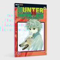 Hunter x Hunter - Carlsen - Band 017