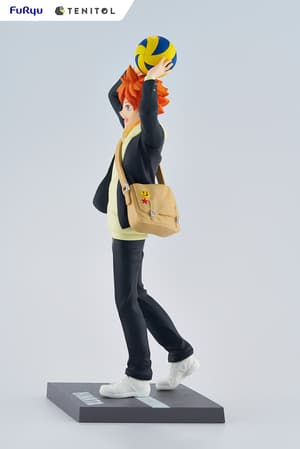 Hinata Shoyo - Tenitol - Furyu - 1