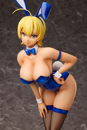 Ikumi Mito: Normal Bunny Ver. - 10