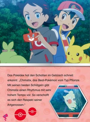 Pokemon - Das Ein-Schlägel-Wunder - 11