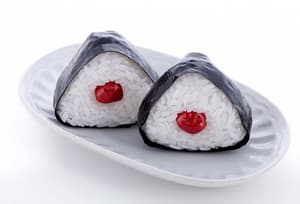Onigiri Plastic Model - 6