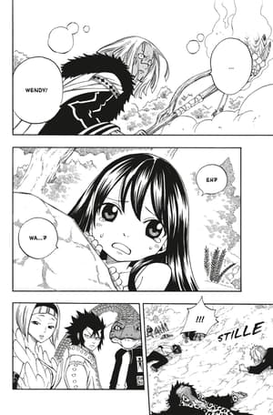 Fairy Tail 17 - 2