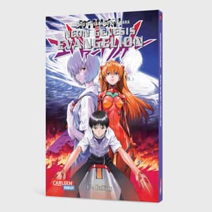 Neon Genesis Evangelion Band 013 - 2