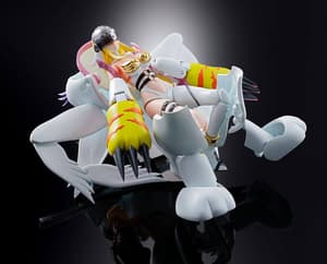 Tailmon digivolving to Angewomon - Digivolving Spirits 04 - 7