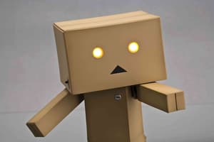 Revoltech Danbo Danboard Miura - 4