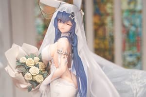 New Jersey - Snow Bride Love - Apex Innovation (13)