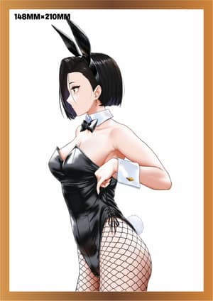 Yuko Yashiki - Bunny Girl - Standard Edition - Magi Arts (8)