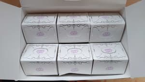 Random Selection - Cup Rabbits Fantastic Fruit Series - Blind Box - 2